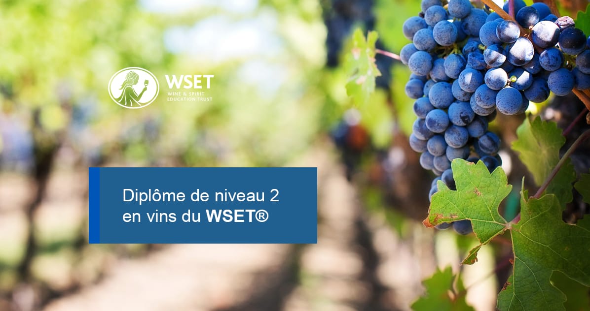 Diplôme de niveau 2 en vins du WSET®