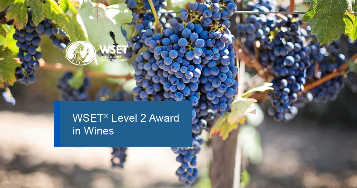 WSET® Level 2 Award in Wines - Pur Jus