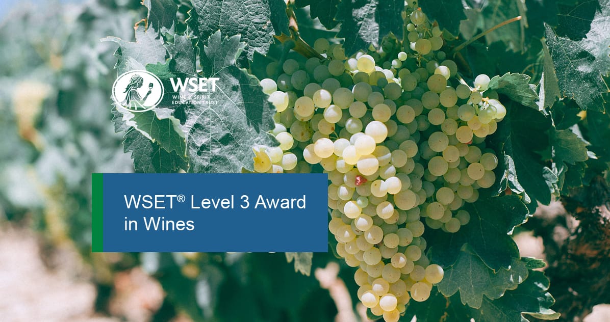 WSET® Level 3 Awards in wines