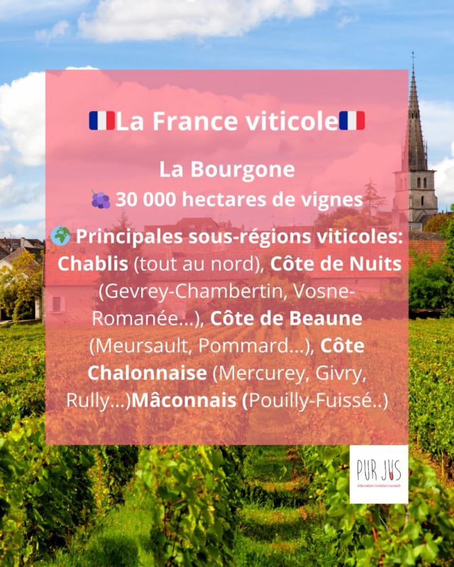 Nouvelle étape dans notre tour des vignobles français : cap sur la Bourgogne, berceau du Chardonnay et du Pinot Noir ! 🍷✨
👉 Retrouvez la carte des appellations bourguignonnes à la fin du carousel 🇫🇷