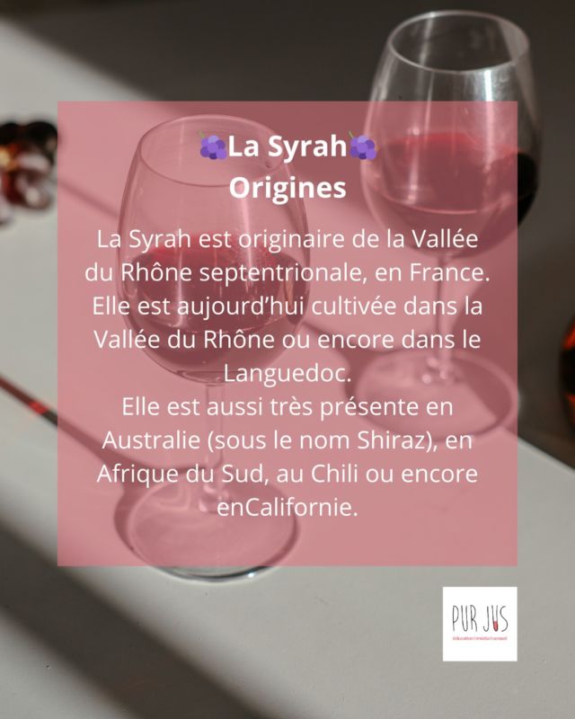 Originaire de la Vallée du Rhône, la Syrah séduit par sa puissance, ses arômes de fruits noirs et son poivre typique. Aujourd’hui, elle s’impose aussi en Australie sous le nom de Shiraz. 
🌍�👉 Découvrez les secrets de ce cépage intense et envoûtant !