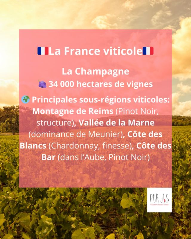 Cap sur la mythique région de la Champagne, berceau des plus célèbres bulles au monde ! 🍾✨
👉 Retrouvez la carte des terroirs champenois à la fin du carousel 🇫🇷