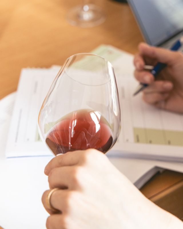 Avant de sentir ou de goûter, on observe le vin dans le verre.
Sa limpidité, sa couleur, son intensité…
👉Un rouge rubis profond ? Peut-être un vin jeune et concentré.
👉Des reflets tuilés ? Les premiers signes de l’évolution.
👉Un blanc citron pâle? Fraîcheur et légèreté en perspective.
🔍 L’œil capte des indices précieux sur le cépage, l’âge, ou la vinification.Regarder, c’est déjà commencer à déguster.
—-
Before smelling or tasting, we observe the wine in the glass. Its clarity, its color, its intensity…
👉 A deep ruby red? Perhaps a young, concentrated wine.
👉 Brick-colored hints? Early signs of aging.
👉 A pale lemon white? Likely fresh and light on the palate.
🔍 The eye picks up valuable clues about the grape variety, the wine’s age, or how it was made. Looking is already the beginning of tasting.