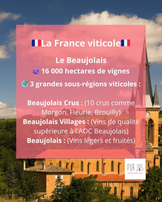 Aujourd’hui, direction le Beaujolais, une région viticole célèbre pour ses vins équilibrés et fruités. Avec ses 10 crus, elle offre une grande diversité de styles, allant des vins jeunes et légers aux cuvées plus complexes et mûries. 🍇✨
👉 Retrouvez la carte des vignobles du Beaujolais à la fin du carousel 🇫🇷