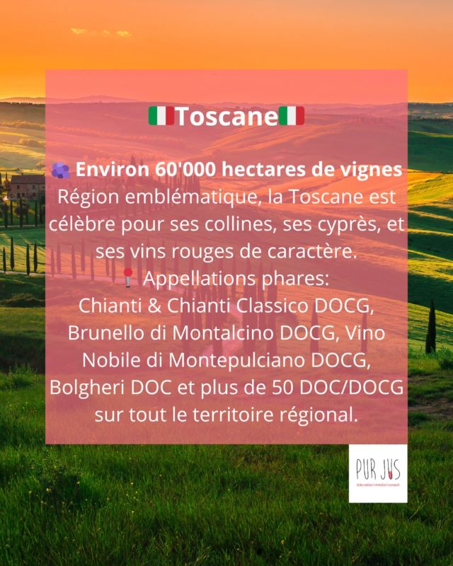 Berceau du Sangiovese et symbole du vin rouge italien, la Toscane incarne l’élégance et la tradition. Des collines du Chianti aux rivages de Bolgheri, chaque terroir raconte une histoire.🍷✨
👉 Retrouvez la carte des grandes appellations à la fin du carrousel!