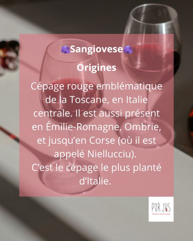 🇮🇹Sangiovese, l’âme de la Toscane
Cépage roi de l’Italie, le Sangiovese donne naissance aux plus grands vins toscans comme le Chianti ou le Brunello. Il séduit par sa fraîcheur, ses tanins élégants et ses arômes de cerise et d’herbes.
👉Un incontournable de la Méditerranée viticole.