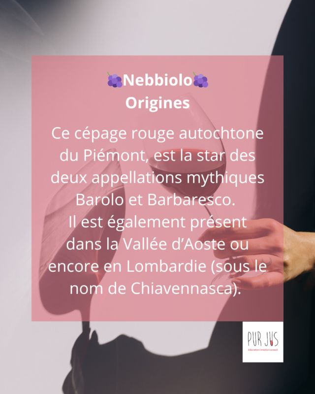 Originaire du Piémont, ce cépage donne naissance à des vins mythiques comme le Barolo ou le Barbaresco. Tannique, complexe et élégant, il incarne la noblesse du vignoble italien.🍇🇮🇹