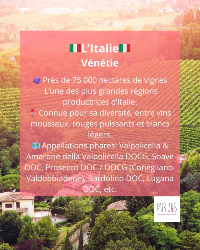 🇮🇹Direction la Vénétie, un vignoble éclectique: du pétillant Prosecco à l’intense Amarone, elle incarne la diversité italienne🍇✨