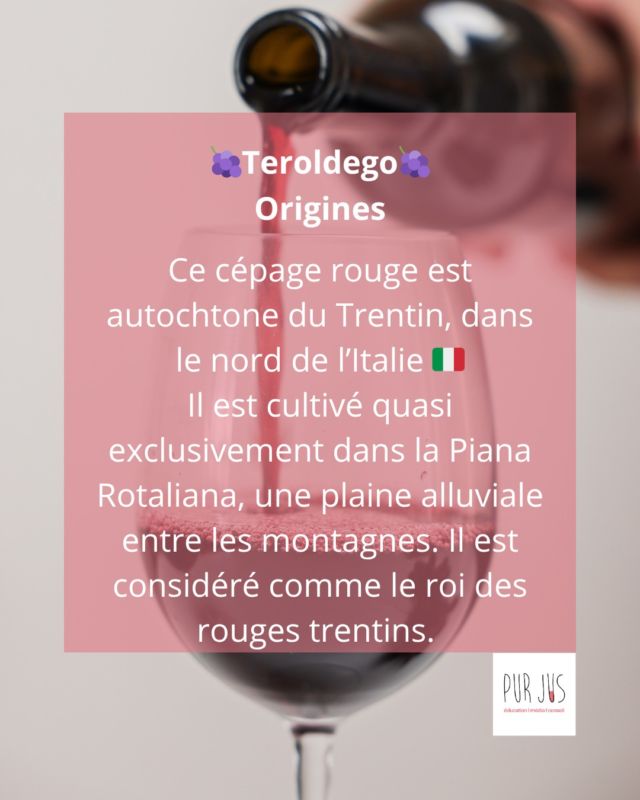 🇮🇹Originaire du Trentin, ce cépage autochtone donne des vins fruités, souples et élégants. Cultivé entre montagnes et rivières, il incarne l’âme du nord de l’Italie.

👉 Un rouge à découvrir pour sortir des sentiers battus.
